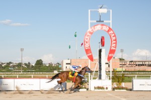 fotografia © 2018 Rubens Nemitz Jr