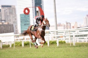 Schweinsteiger 13.01