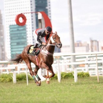 SCHWEINSTEIGER (Tiger Heart) vence Prova Especial Verão em Cidade Jardim