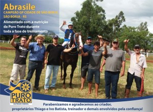 Abrasile 19.02