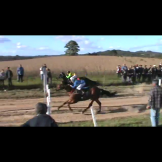 Abrasile (Tiger Heart) vence GP Jóckey Club de São borja