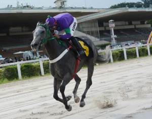 Aninha 17.02 PE Magic Moon