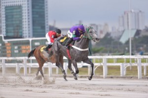 Aninha PE Magic Moon