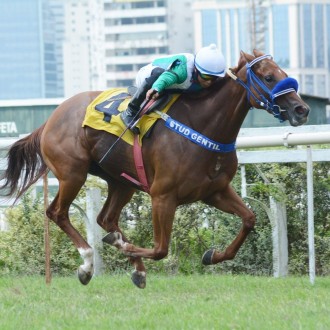 Filhos de Tiger Heart e Impression vencem na Gávea, Cidade Jardim e Cristal.