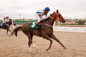 Jockey Club Paraná - Hipódromo do Tarumã, reunião do dia 15-02-2018