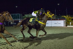 Jockey Club Paraná - Hipódromo do Tarumã, reunião do dia 15-02-2018