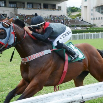 Jack do Iguassu e João Amigão filhos de Tiger vencem em CJ e Gávea