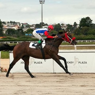 Olhar Mágico (Pioneering) retorna com vitória no Tarumã