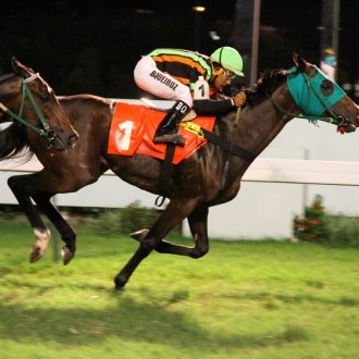 Pirata Inglês criado no Santarém vence na Gávea. Genghis Khan (Pioneering) fatura a 3ª na Gávea