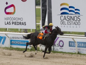 RAinha Pioneira 27.01