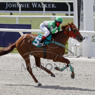 DURO DE MATAR filho de Salto confirma liderança da geração no Uruguai