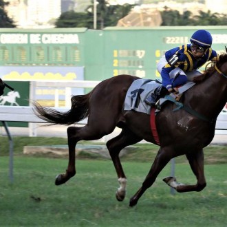 Marumby (2 anos por Pioneering) recriada no Santarém vence na Gávea, Qing Yuan (Pioneering) criação Santarém vence em CJ