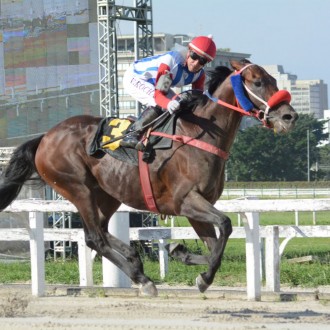 Olhar Mágico por Pioneering, vence Grupo 2 em Cidade Jardim !!