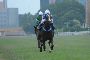 Richiesta de frente 10.03