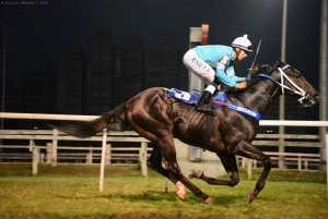 Arael da Serra 28.04