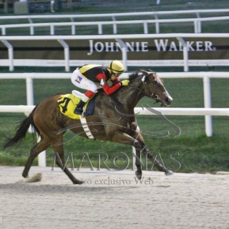 Pensionistas do Santarém vencem em Maroñas e Gávea, Holy Legal vence Clássico de velocidade