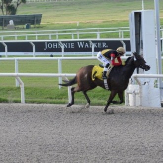 HOLLY LEGAL criada no Hs Santarém em regime de pensionato para o Hs Belmont vence Grupo 3