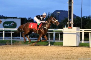 Isolla di Fiori 15.04