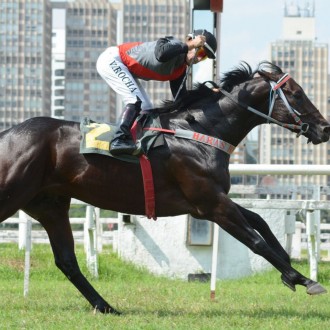 Pensando em Grana (Tiger Heart) vence G3 em CJ se preparando para o ABCPCC (G1)