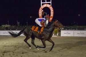 Jockey Club do Paraná - Hipódromo do Tarumã reunião de 26/04/2018 - fotos de divulgação © Estéfano Lessa