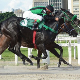 Filhos de Tiger Heart vencem em Cidade Jardim