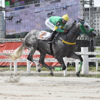 SINABUNG (Discreet Cat) vence na estréia em Maroñas e RAF (Impression) ambos criação Santarém vence e  2ª em Cidade jardim