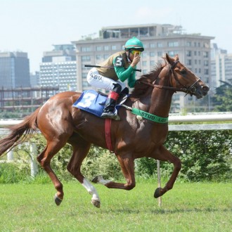 Filhos de Tiger Heart vencem na Gávea e CJ