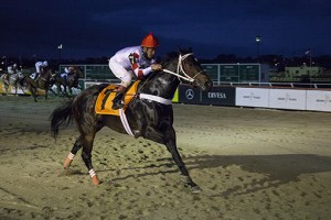 Jockey Club do Paraná - Hipódromo do Tarumã reunião de 24/05/2018 - fotos de divulgação © Estéfano Lessa