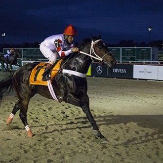 RAJ (Tiger Heart) do Santarém vence no Tarumã, ROCK KING criado no Santarém vence na estréia em CJ
