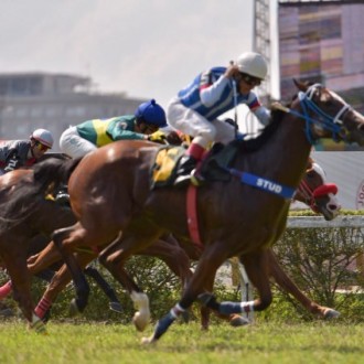 Richiesta (Tiger Heart) criação Santarém vence a prova dos 700 metros em CJ