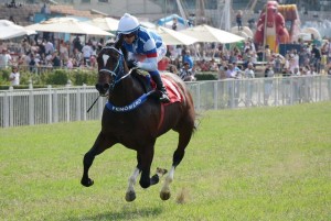 Royal Forestry 06.05