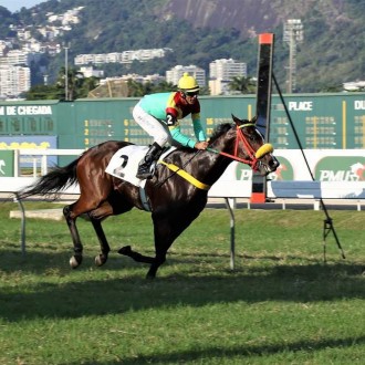 Potros criados e re-criados no Santarém vencem em CJ e Gávea