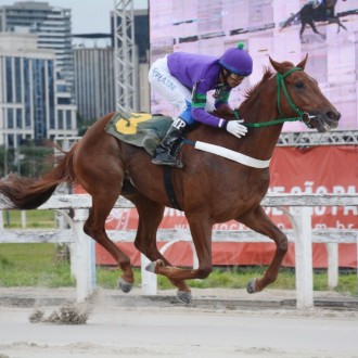 Gato Lindo, filho de Pioneering, vence Listed em Cidade Jardim