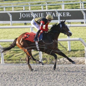 Pensionistas criados no Santarém vencem Clássico em Maroñas, e em CJ e Gávea