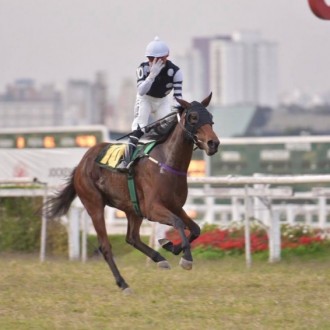 Filha de Salto, Naomi Broadway vence Listed em Cidade Jardim