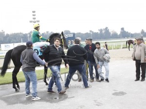 Saltatrix 10.06 foto da vitória