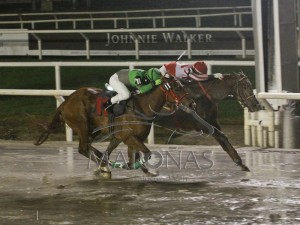 Duro de Matar Cl Ensayo G3