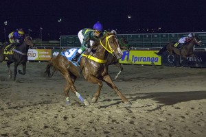 Jockey Club do Paraná - Hipódromo do Tarumã reunião de 12/07/2018 - fotos de divulgação © Estéfano Lessa