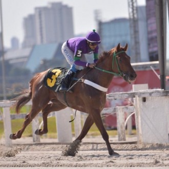 Gato Lindo (Pioneering) e Isola de Fiori (Pioneering) vencem Provas Clássicas em CJ e Gávea