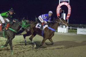 Jockey Club do Paraná - Hipódromo do Tarumã reunião de 12/07/2018 - fotos de divulgação © Estéfano Lessa