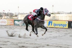 Jockey Club do Paraná - Hipódromo do Tarumã reunião de 12/07/2018 - fotos de divulgação © Estéfano Lessa
