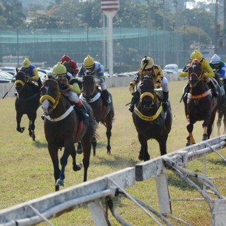 Loophole (Pioneering) vence Prova ESpecial Odysseus, Dolce Chiara e Native Pioneer ambos pro Pioneering vencem em Maroñas