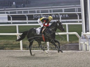 Rainha Pioneira 29.06