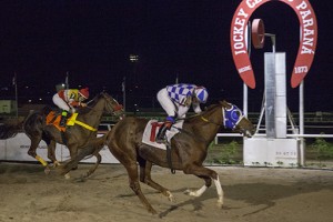 Jockey Club do Paraná - Hipódromo do Tarumã reunião de 26/07/2018 - fotos de divulgação © Estéfano Lessa
