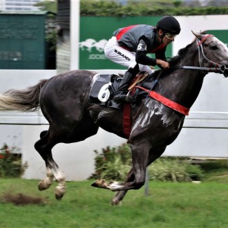 Filhos de Tiger Heart vencem na Gávea