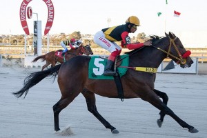 Lyon do Iguassu 09.08