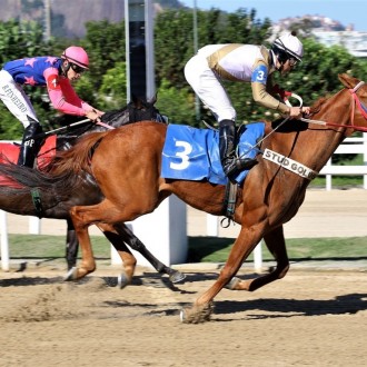 Quaraçá (Tiger Heart) criação Santarém leva a segunda na Gávea