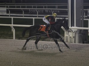 Rainha Pioneira 03.08