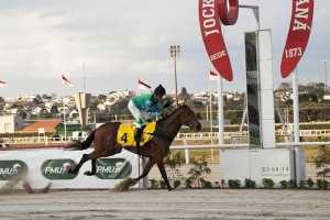 Jockey Club do Paraná - Hipódromo do Tarumã reunião de 23/08/2018 - fotos de divulgação © Estéfano Lessa