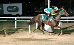 Youdrivemecrazy 14.08